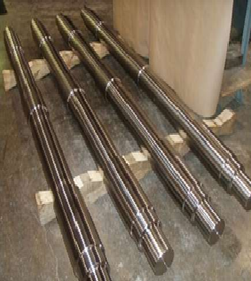 Stem